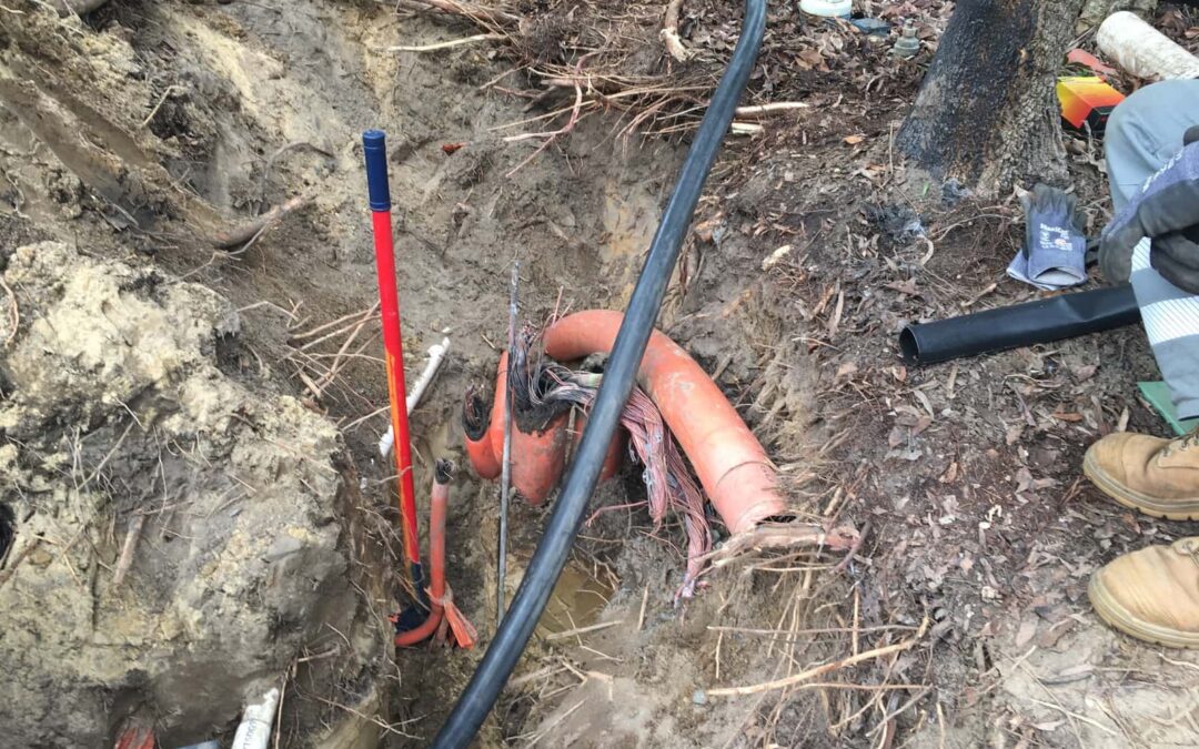 What caused the fire at Palmer Sea Golf Course?